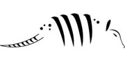 Kusuco, cusuco, armadillo de nueve bandas (Dasypus novemcinctus)